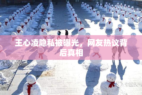 王心凌隐私被曝光，网友热议背后真相