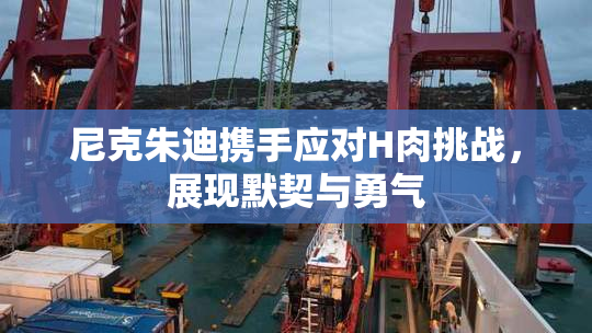 尼克朱迪携手应对H肉挑战，展现默契与勇气