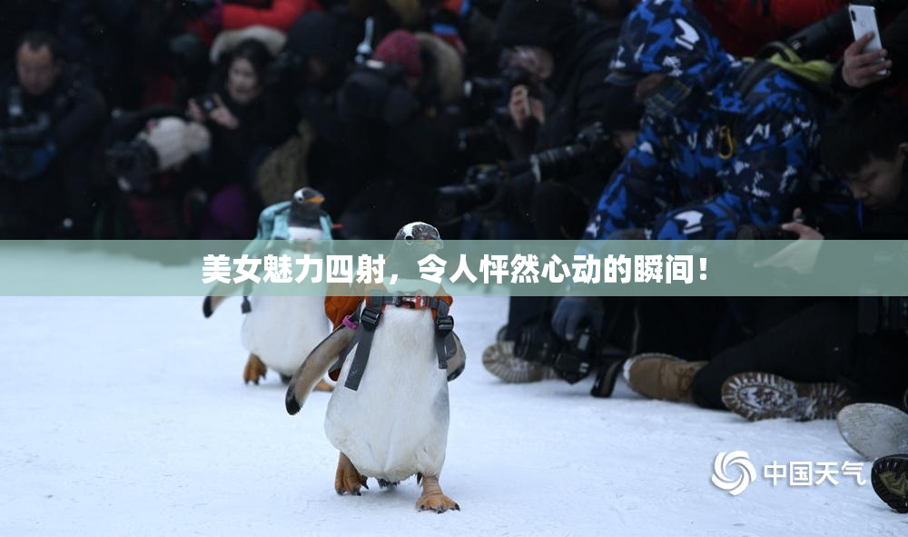 美女魅力四射，令人怦然心动的瞬间！