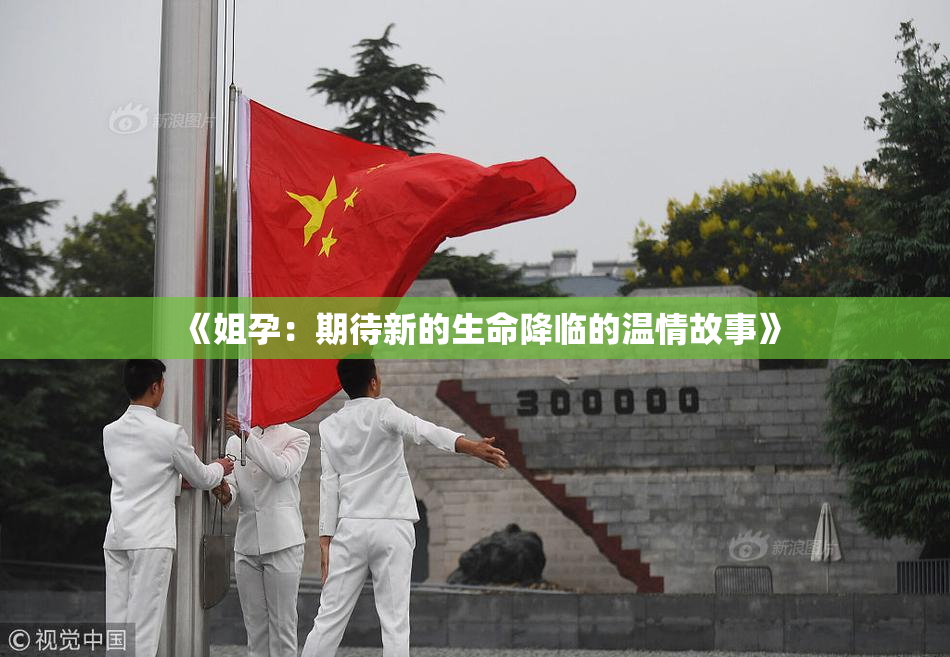 《姐孕：期待新的生命降临的温情故事》
