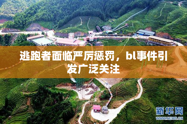 逃跑者面临严厉惩罚，bl事件引发广泛关注