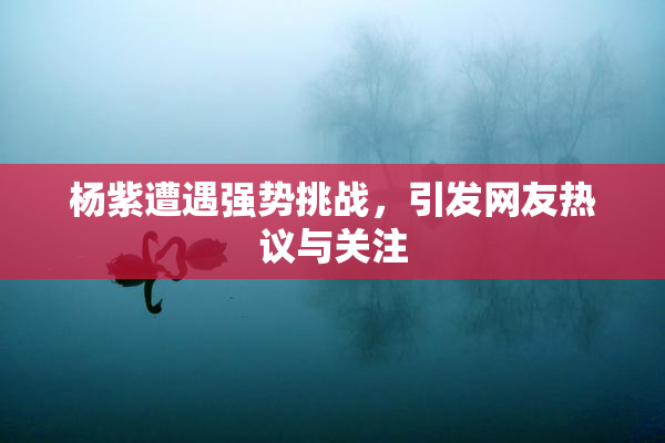 杨紫遭遇强势挑战，引发网友热议与关注