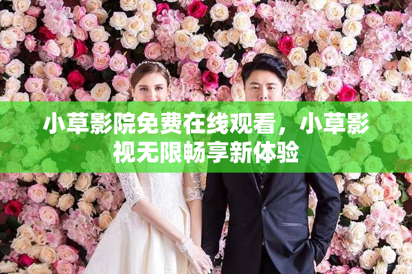 小草影院免费在线观看，小草影视无限畅享新体验
