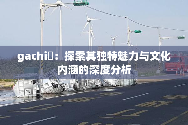 gachi籣：探索其独特魅力与文化内涵的深度分析