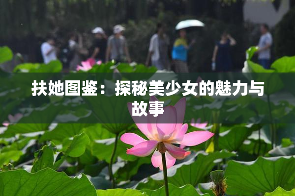 扶她图鉴：探秘美少女的魅力与故事