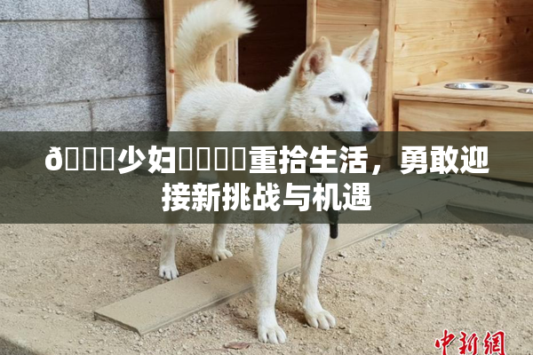 🔞少妇❌‌❌‌重拾生活，勇敢迎接新挑战与机遇
