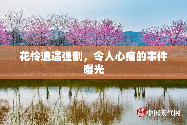 花怜遭遇强制，令人心痛的事件曝光