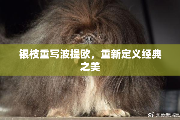 银枝重写波提欧，重新定义经典之美