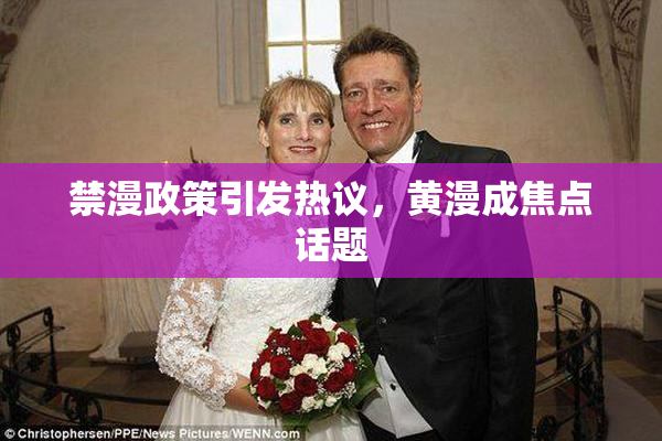 禁漫政策引发热议，黄漫成焦点话题