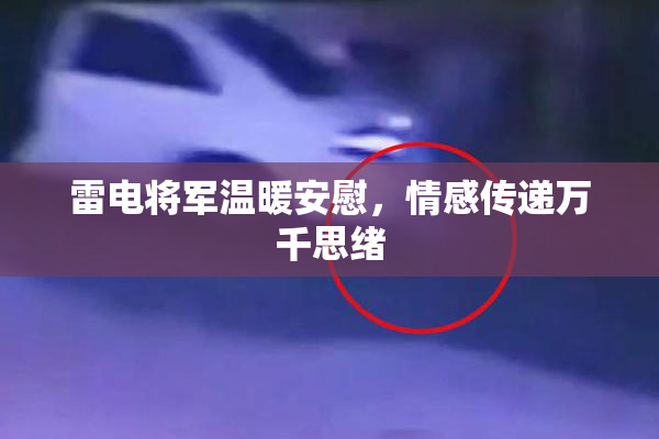 雷电将军温暖安慰，情感传递万千思绪