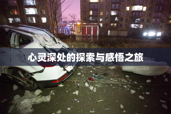 心灵深处的探索与感悟之旅