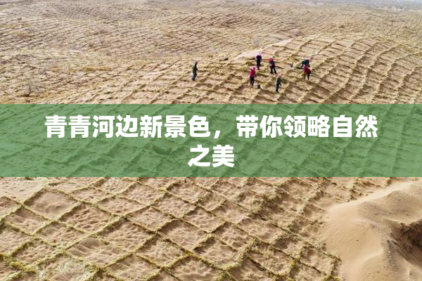 青青河边新景色，带你领略自然之美