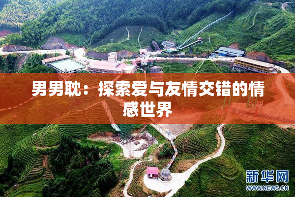 男男耽：探索爱与友情交错的情感世界