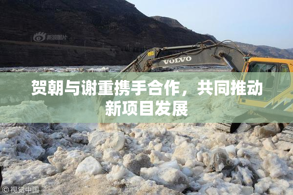 贺朝与谢重携手合作，共同推动新项目发展