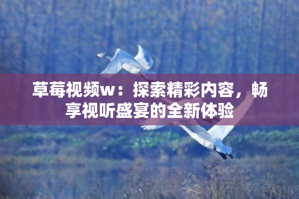 草莓视频w：探索精彩内容，畅享视听盛宴的全新体验