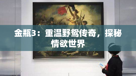 金瓶3：重温野鸳传奇，探秘情欲世界