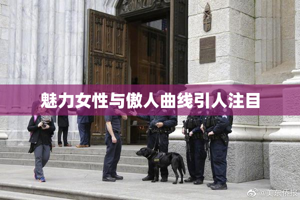 魅力女性与傲人曲线引人注目