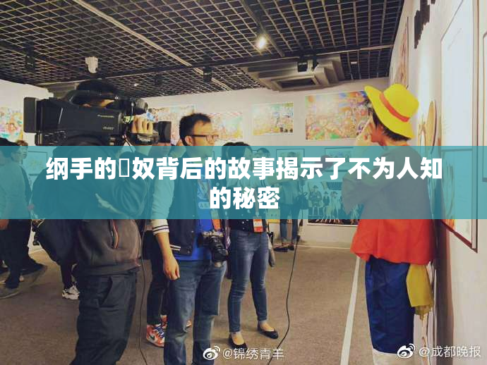 纲手的婬奴背后的故事揭示了不为人知的秘密