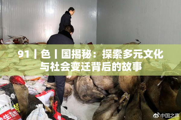 91丨色丨国揭秘：探索多元文化与社会变迁背后的故事