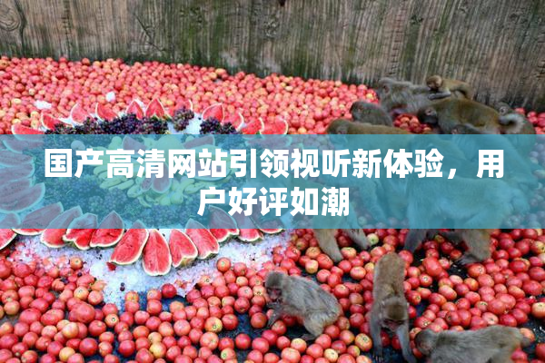 国产高清网站引领视听新体验，用户好评如潮
