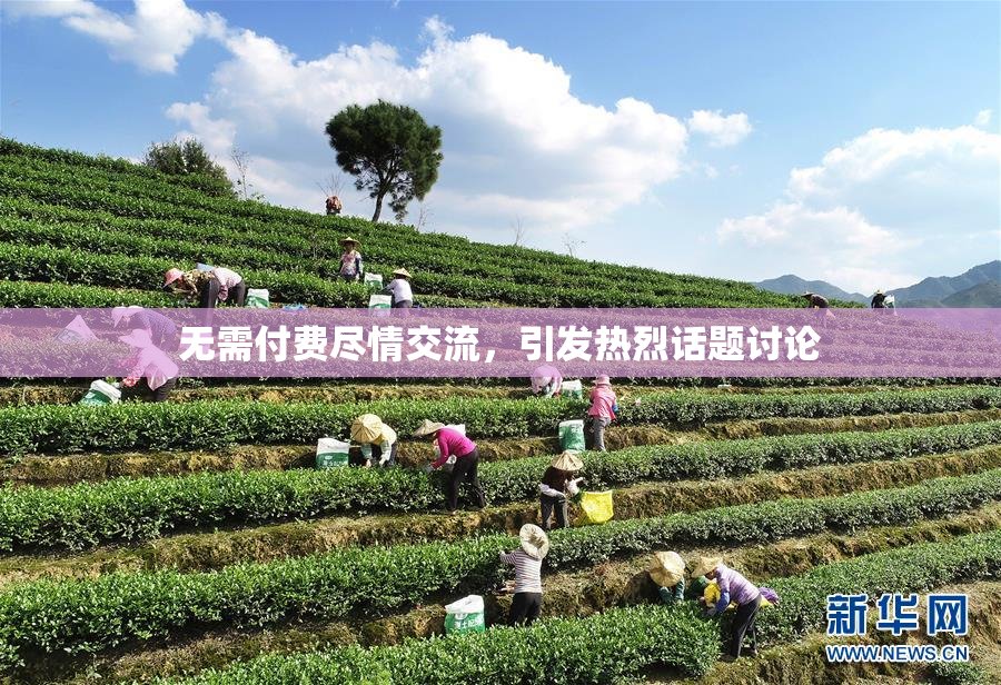 无需付费尽情交流，引发热烈话题讨论