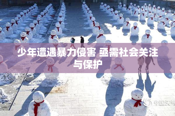 少年遭遇暴力侵害 亟需社会关注与保护