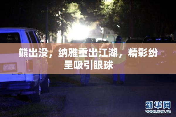 熊出没，纳雅重出江湖，精彩纷呈吸引眼球