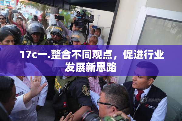 17c一.整合不同观点，促进行业发展新思路