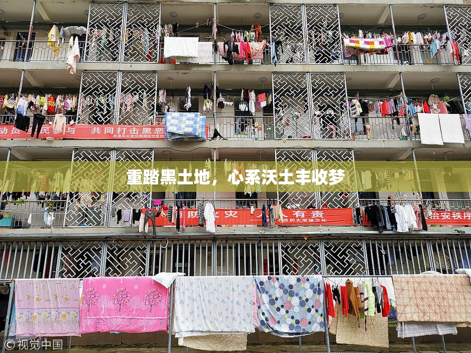 重踏黑土地，心系沃土丰收梦