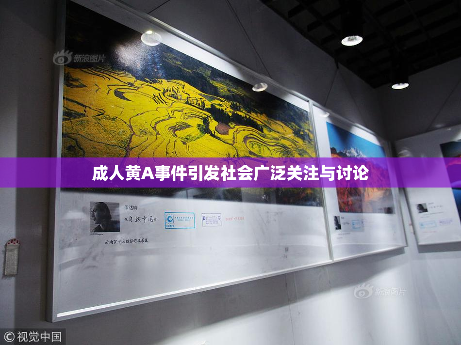 成人黄A事件引发社会广泛关注与讨论