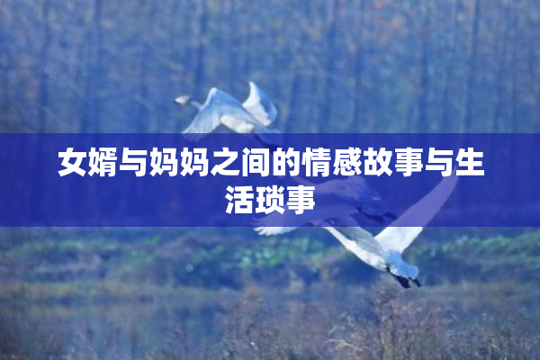 女婿与妈妈之间的情感故事与生活琐事