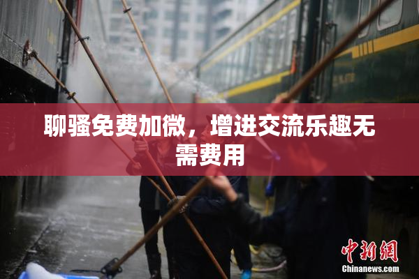 聊骚免费加微，增进交流乐趣无需费用