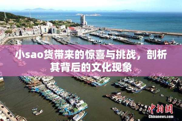 小sao货带来的惊喜与挑战，剖析其背后的文化现象