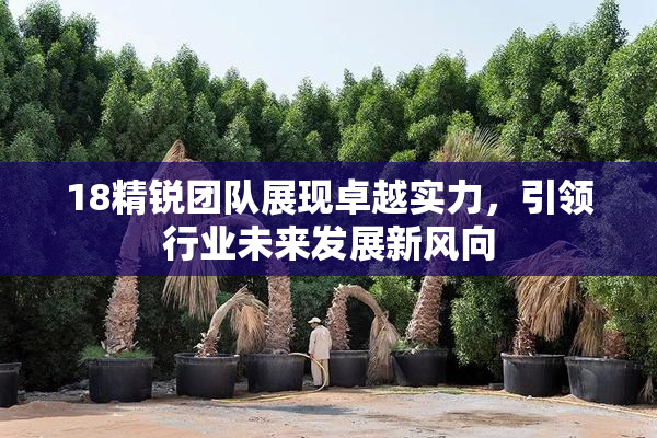 18精锐团队展现卓越实力，引领行业未来发展新风向