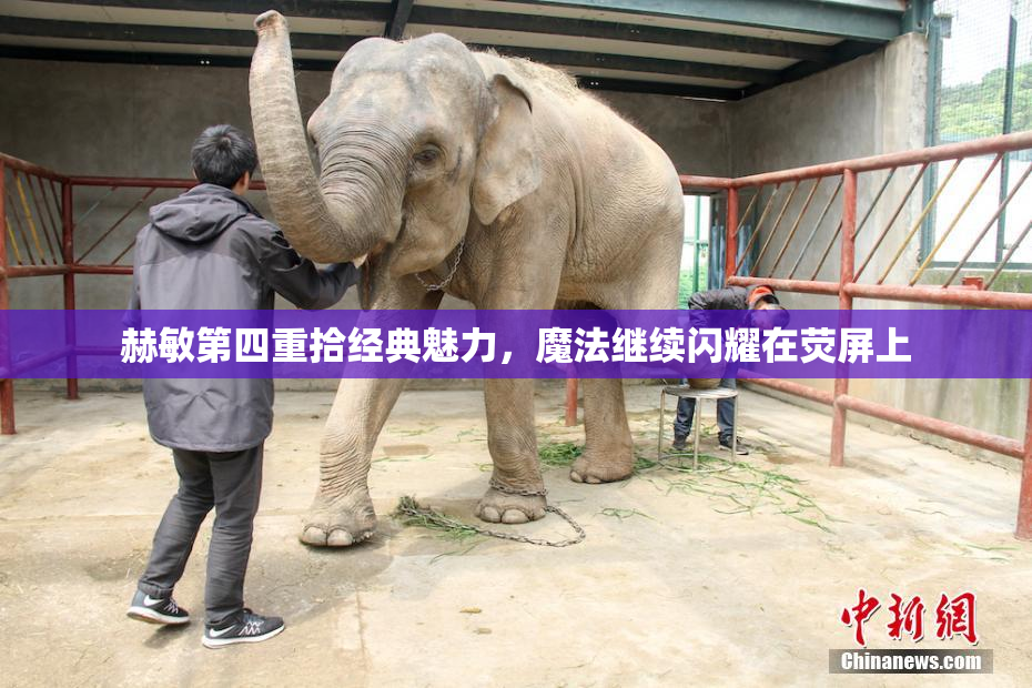 赫敏第四重拾经典魅力，魔法继续闪耀在荧屏上