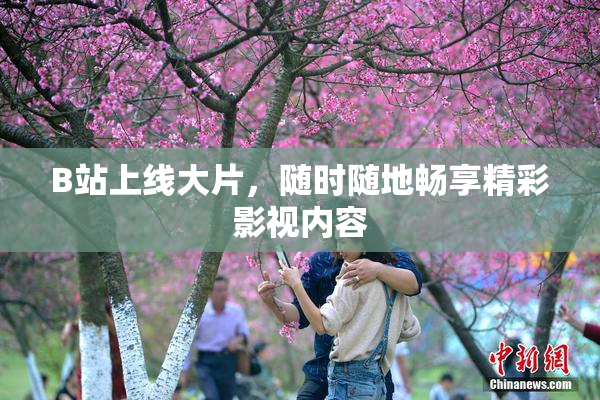 B站上线大片，随时随地畅享精彩影视内容