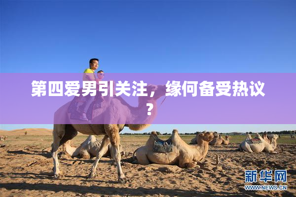 第四爱男引关注，缘何备受热议？