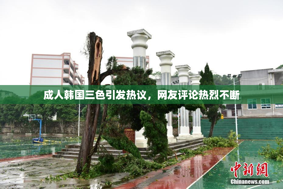 成人韩国三色引发热议，网友评论热烈不断