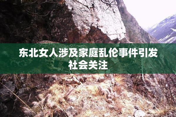 东北女人涉及家庭乱伦事件引发社会关注