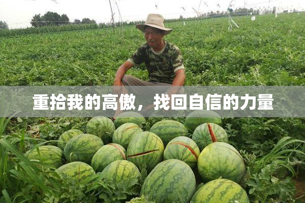 重拾我的高傲，找回自信的力量
