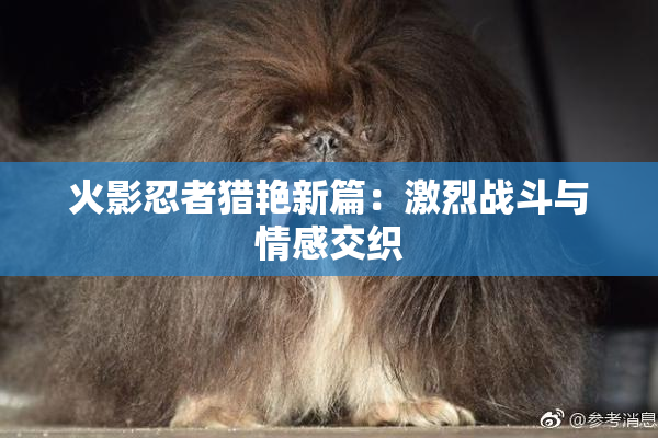 火影忍者猎艳新篇：激烈战斗与情感交织