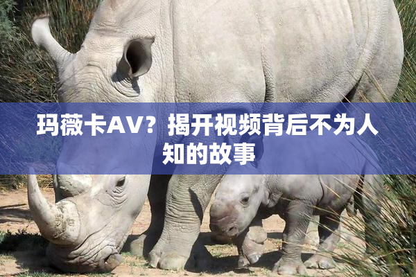 玛薇卡AV？揭开视频背后不为人知的故事
