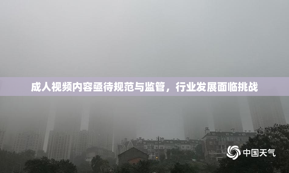 成人视频内容亟待规范与监管，行业发展面临挑战