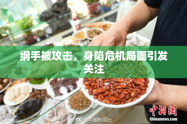 纲手被攻击，身陷危机局面引发关注