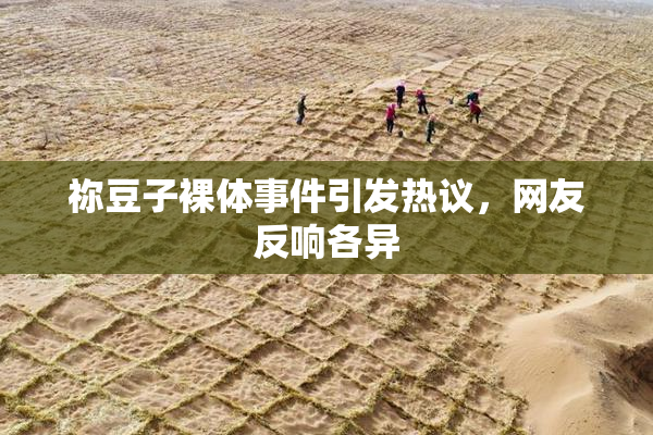 祢豆子裸体事件引发热议，网友反响各异
