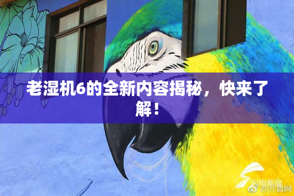 老湿机6的全新内容揭秘，快来了解！