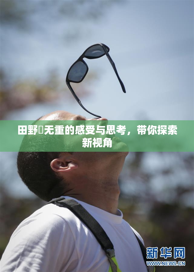 田野憂无重的感受与思考，带你探索新视角