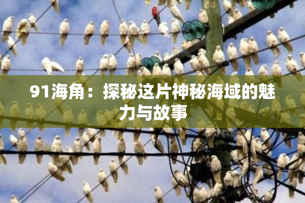 91海角：探秘这片神秘海域的魅力与故事