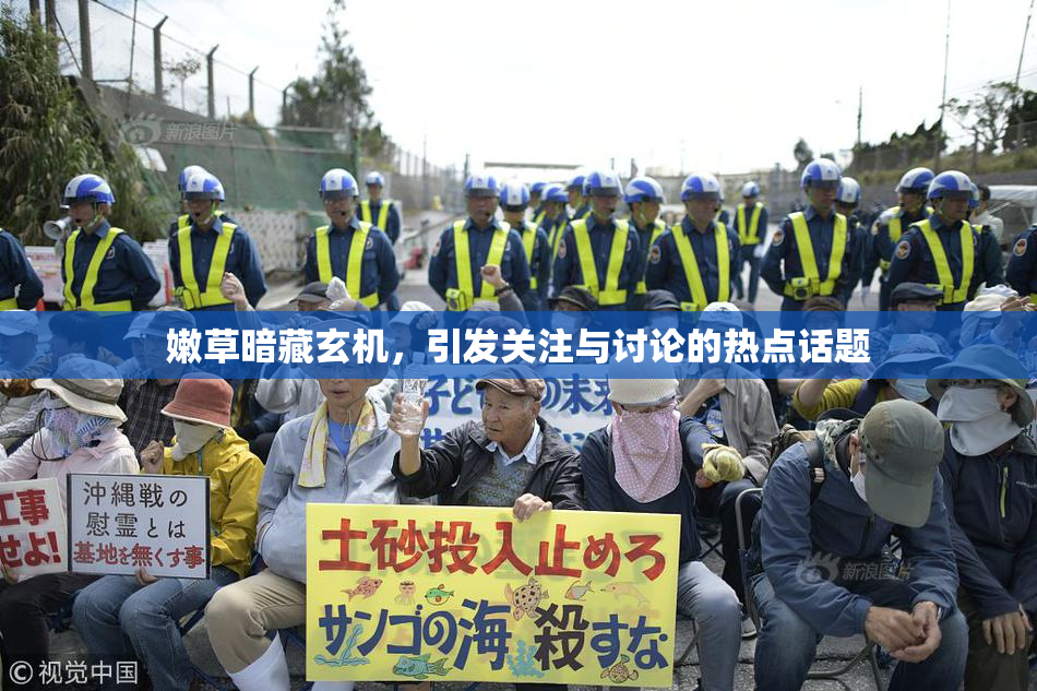 嫩草暗藏玄机，引发关注与讨论的热点话题