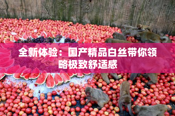 全新体验：国产精品白丝带你领略极致舒适感
